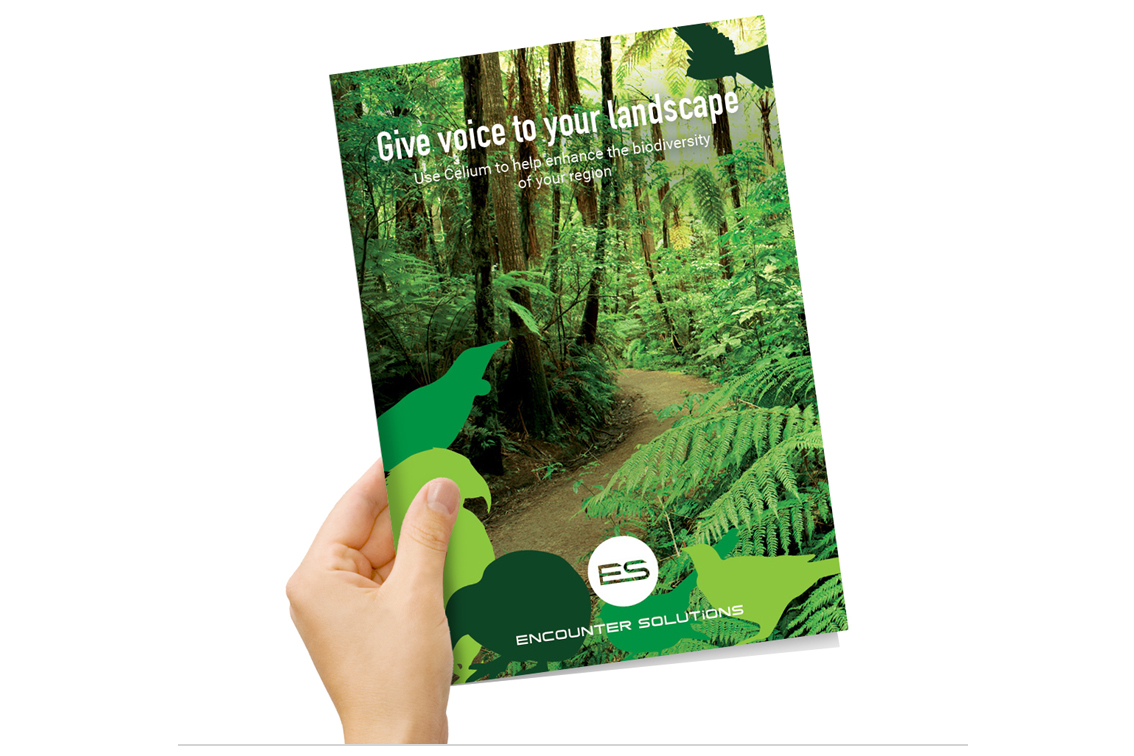 Encounter Solutions website & brochure