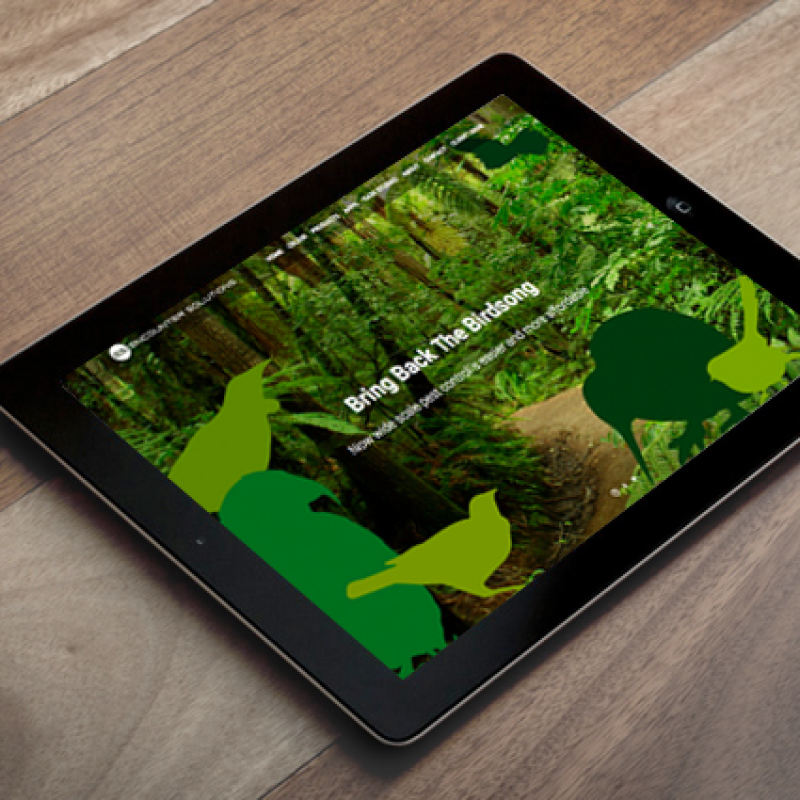 Encounter Solutions website & brochure