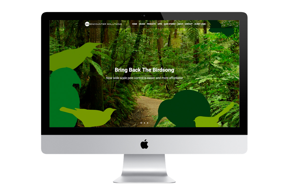 Encounter Solutions website & brochure