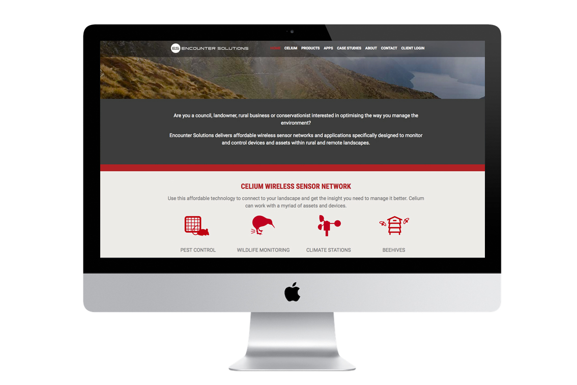 Encounter Solutions website & brochure